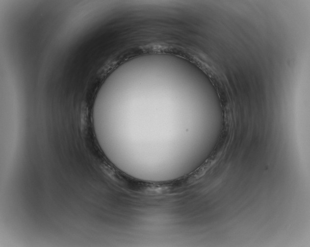 X0000111500760200907141043