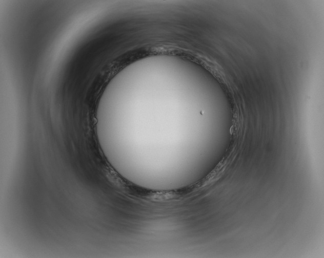 X0000111500762200907141043