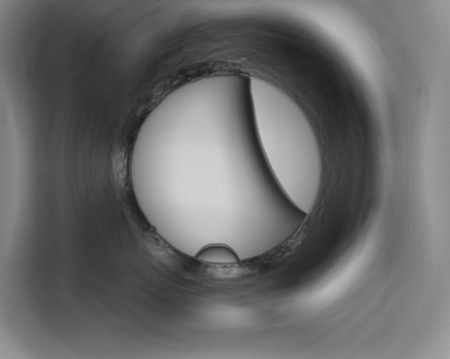 X0000111500767200907141043