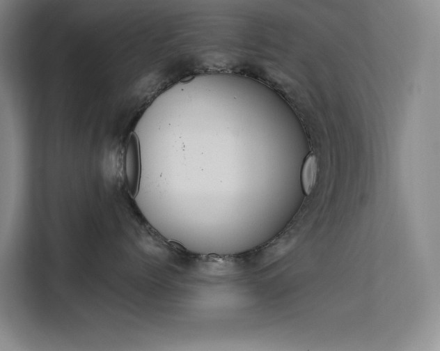 X0000111500768200907141043