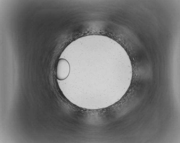 X0000111500769200907141043