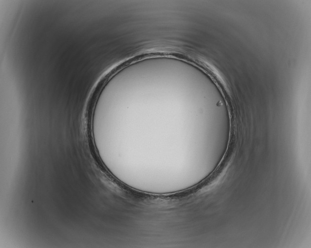 X0000111500779200907141043