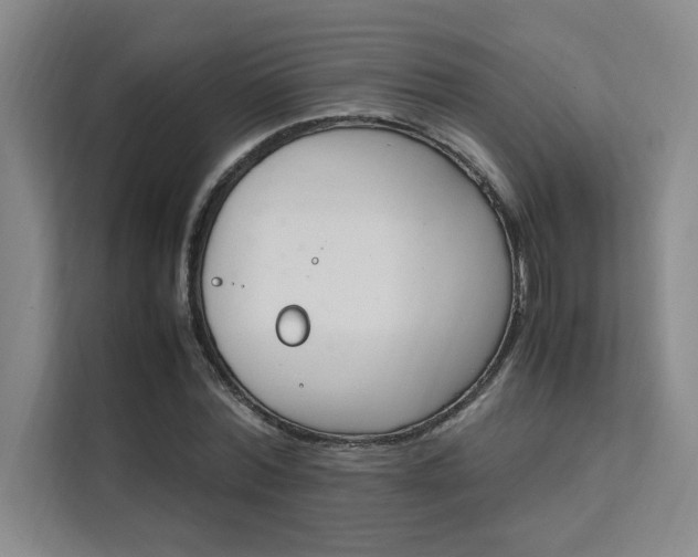 X0000111500780200907141043