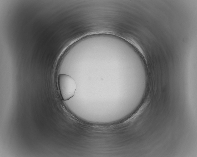 X0000111500781200907141043