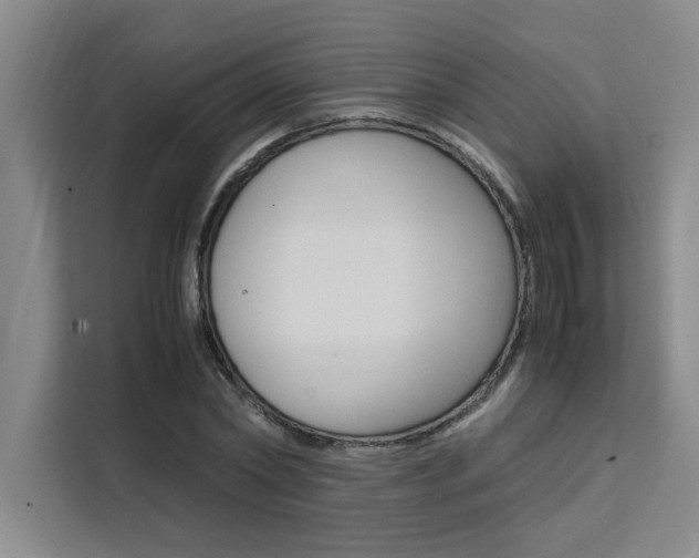 X0000111500782200907141043