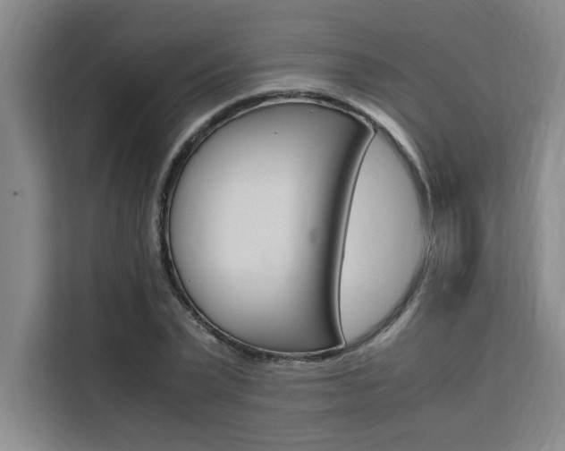 X0000111500783200907141043