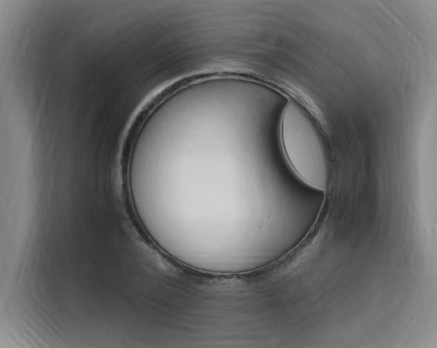 X0000111500784200907141043