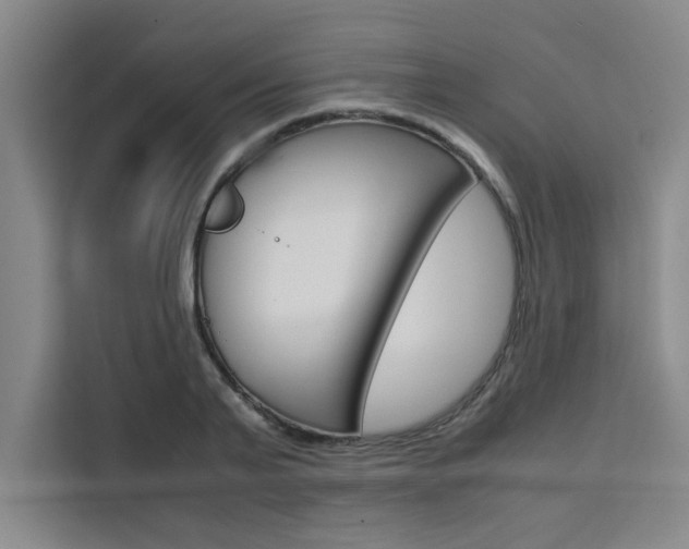 X0000111500791200907141042