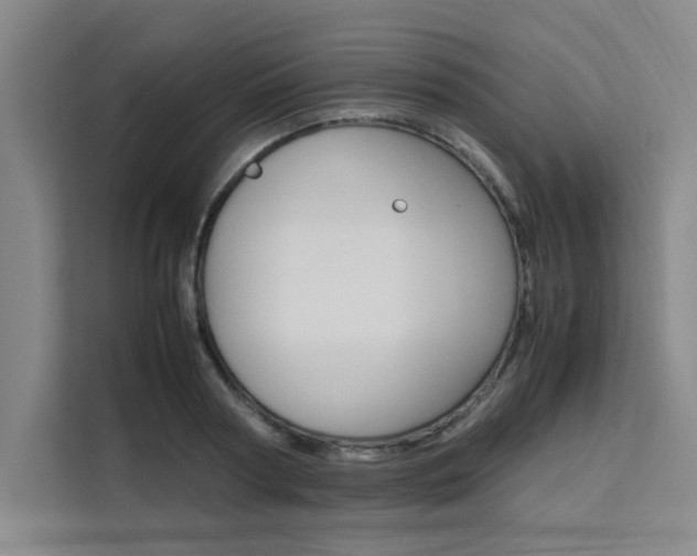 X0000111500794200907141042
