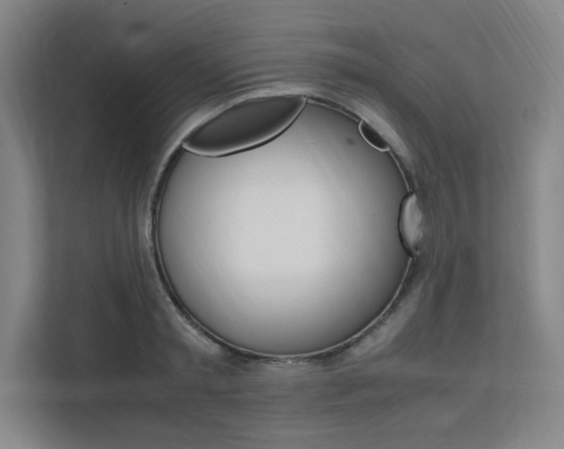X0000111500797200907141042