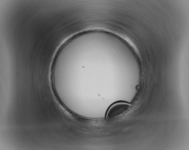 X0000111500799200907141042