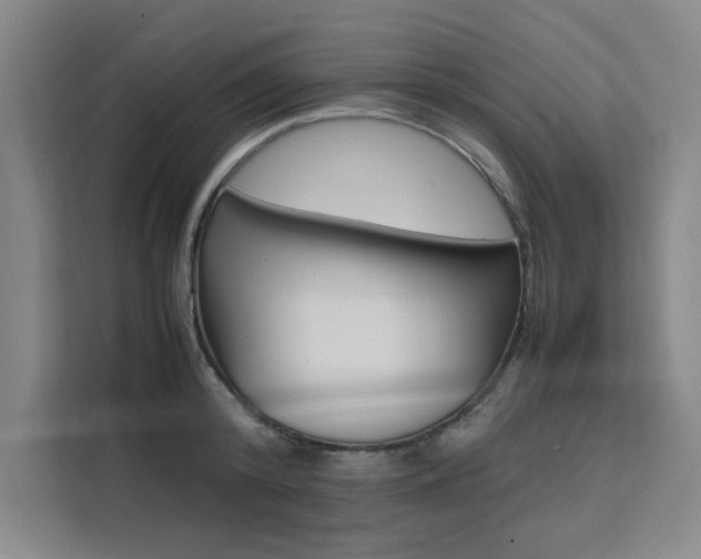 X0000111500800200907141042