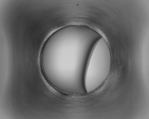 X0000111500803200907141042