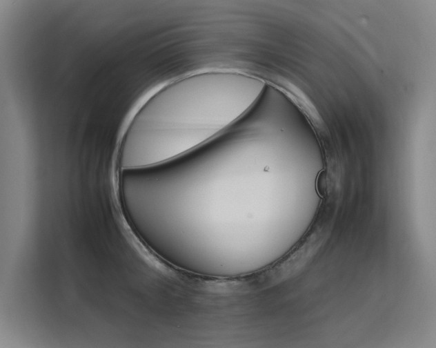 X0000111500804200907141042