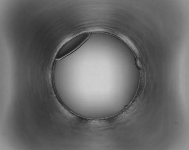 X0000111500805200907141042