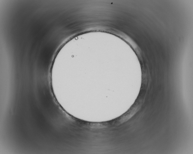 X0000111500807200907141042
