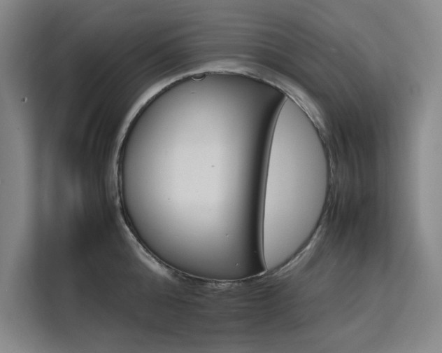 X0000111500808200907141042