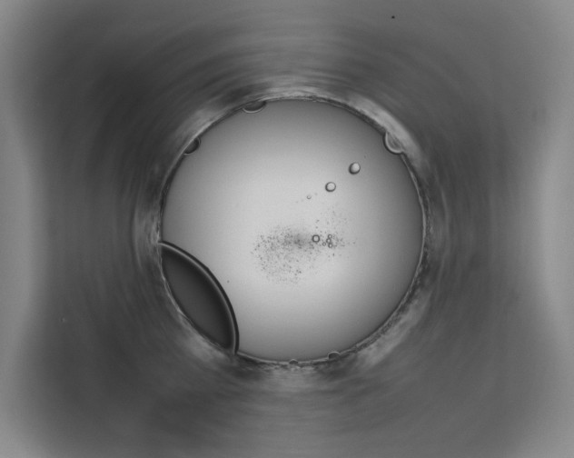 X0000111500809200907141042