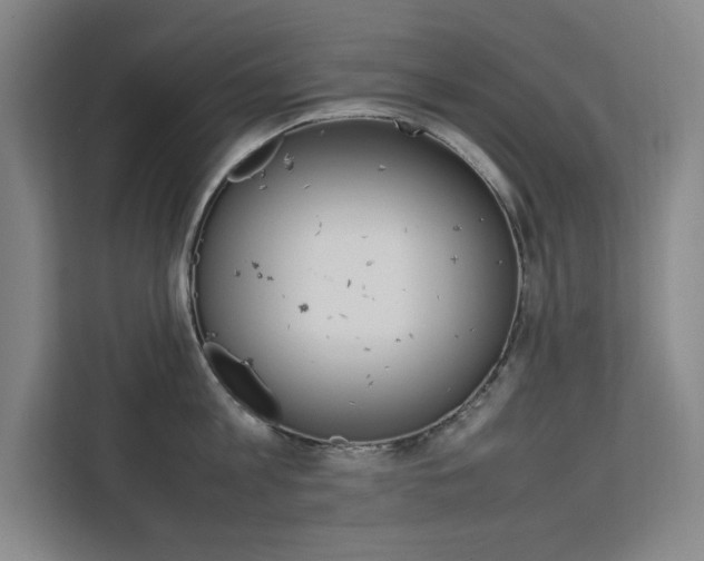 X0000111500813200907141042