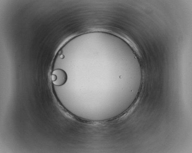 X0000111500814200907141042
