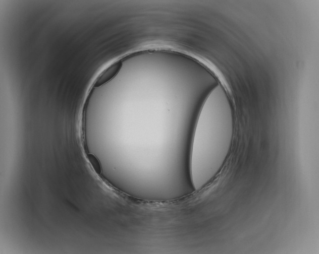 X0000111500815200907141042
