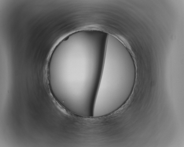 X0000111500816200907141042