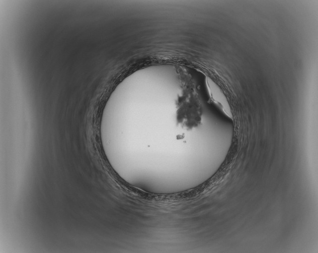 X0000111500817200907141042