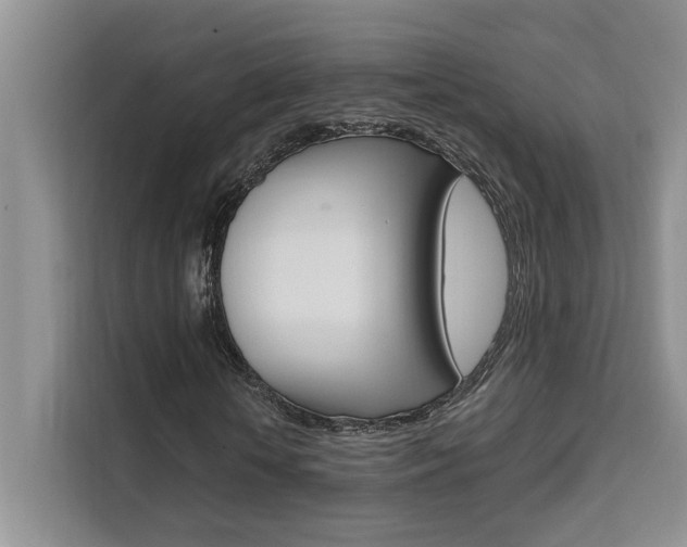 X0000111500818200907141042