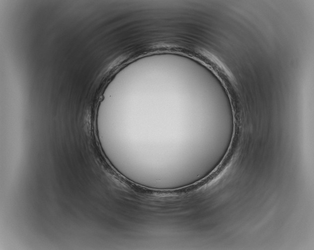 X0000111500825200907141042