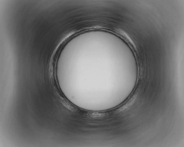 X0000111500827200907141042