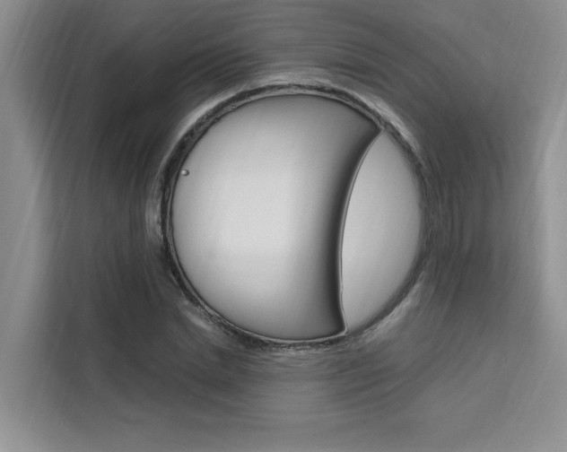 X0000111500830200907141042