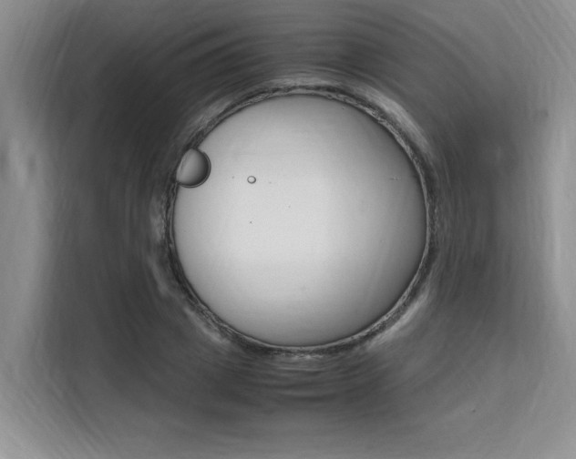 X0000111500833200907141042