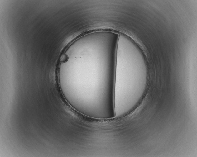 X0000111500834200907141042