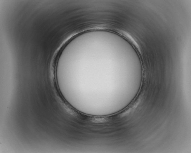 X0000111500835200907141042