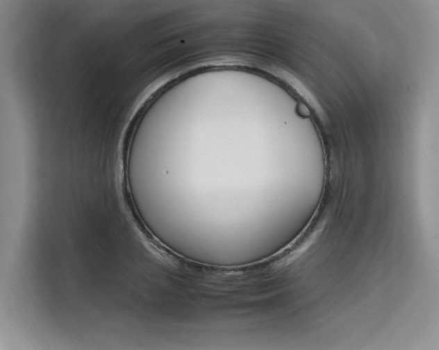 X0000111500837200907141042