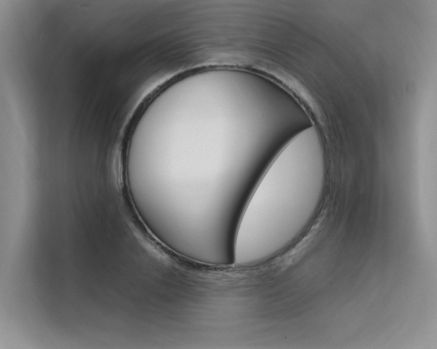 X0000111500838200907141042