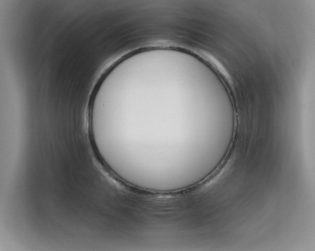 X0000111500839200907141042