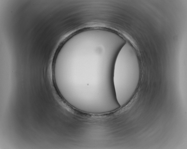 X0000111500840200907141042