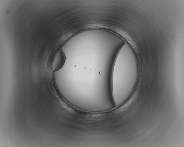 X0000111500841200907141042