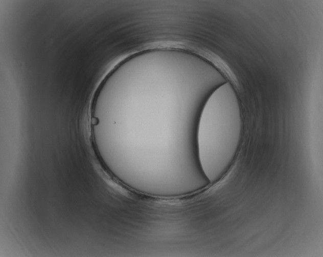 X0000111500844200907141042