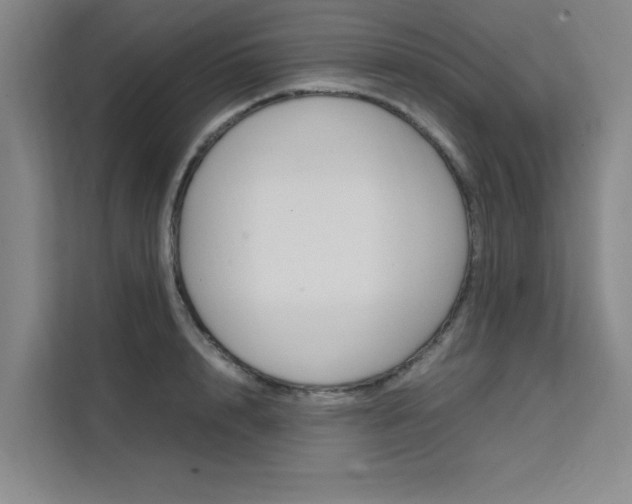 X0000111500848200907141042