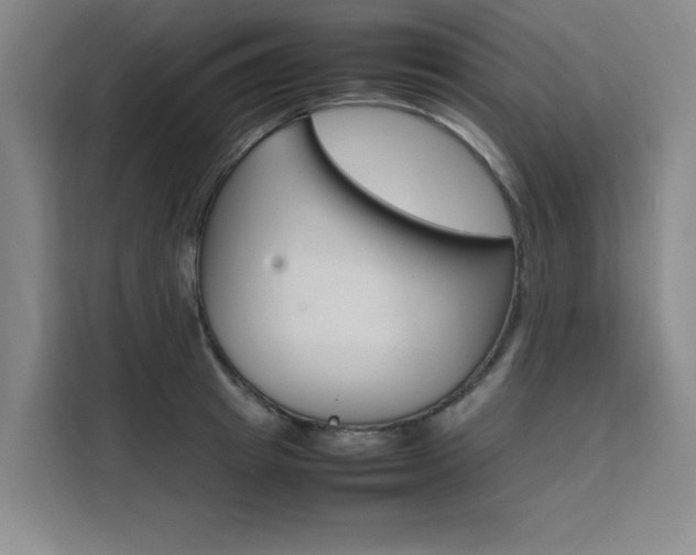 X0000111500849200907141042