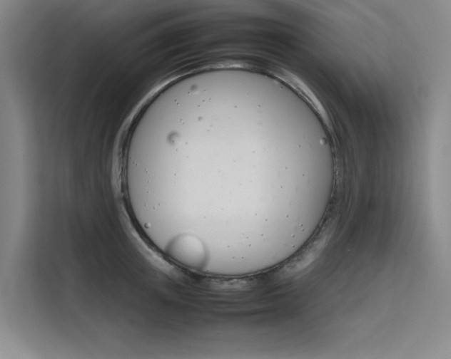 X0000111500851200907141042