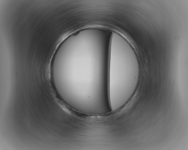 X0000111500858200907141042