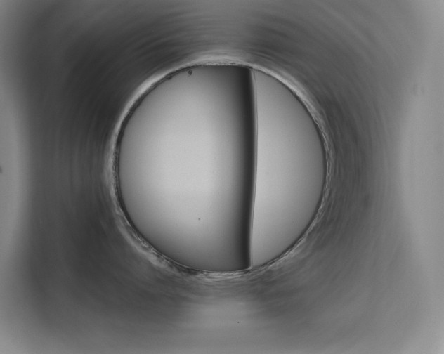 X0000111500864200907141042