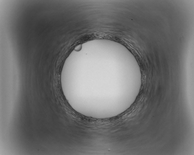 X0000111500865200907141041