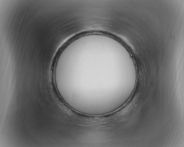 X0000111500879200907141041