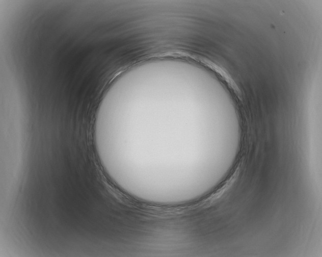 X0000111500881200907141041