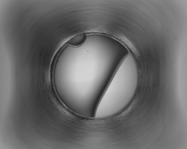 X0000111500884200907141041
