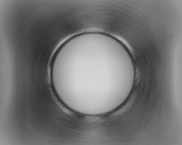 X0000111500886200907141041
